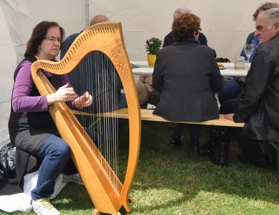 Nikon_6548__800x531_