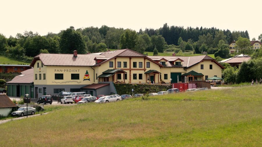 1. Schnitzkurs im Waldviertel im August