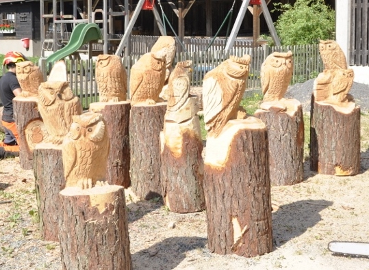 Ein_Wald_voller_Eulen